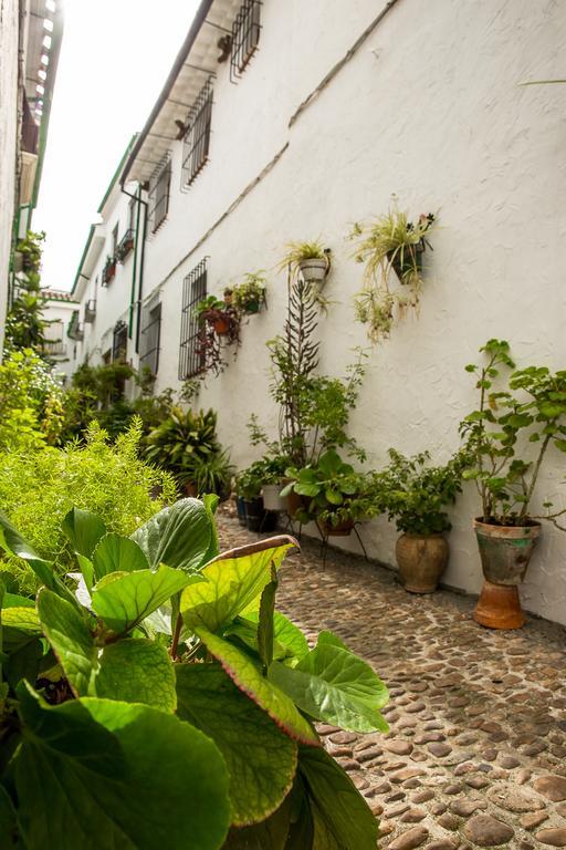 Casa Rural Zambra Priego de Córdoba Zewnętrze zdjęcie